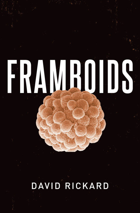 Cover image for book Framboids