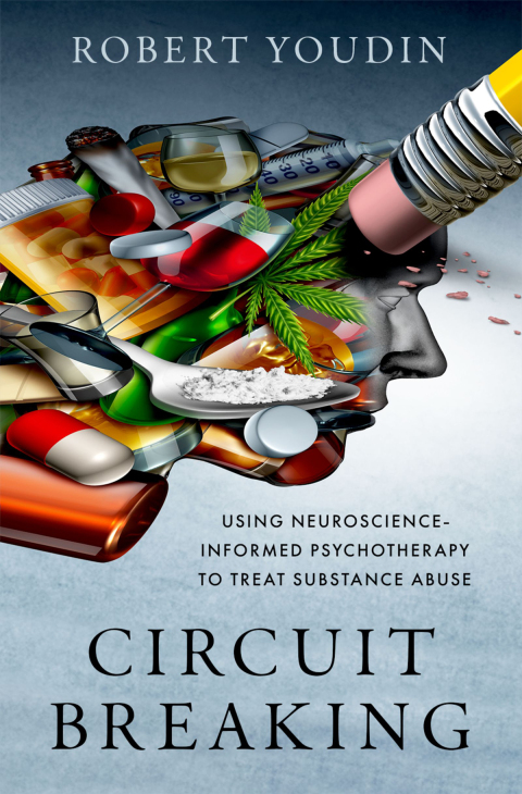 Cover image for book Circuit Breaking