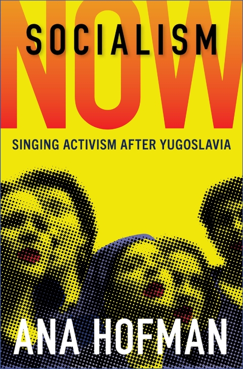 Cover image for book Socialism Now