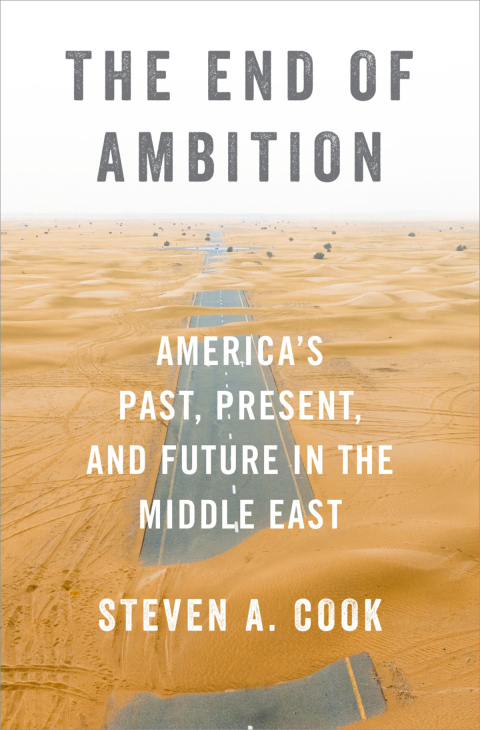 Cover image for book The End of Ambition