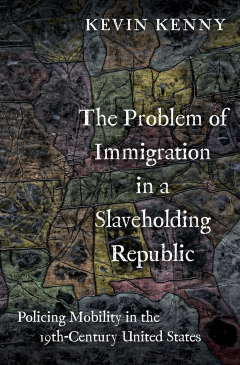 Cover image for book The Problem of Immigration in a Slaveholding Republic