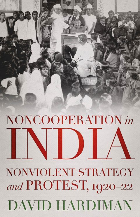Cover image for book Noncooperation in India