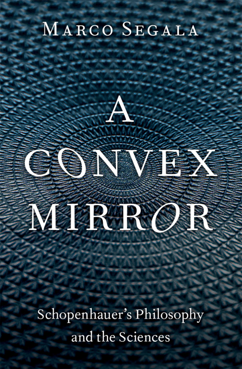 Cover image for book A Convex Mirror