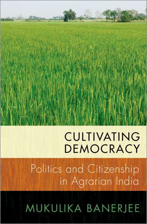 Cover image for book Cultivating Democracy
