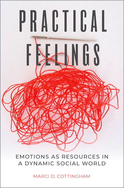 Cover image for book Practical Feelings