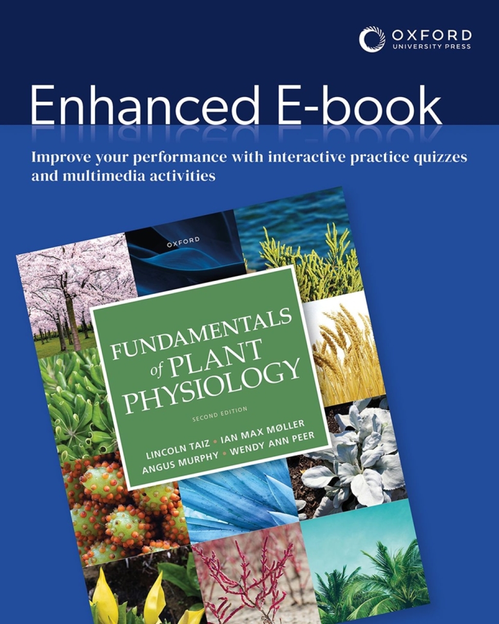Reflowable Fundamentals of Plant Physiology; $69.99