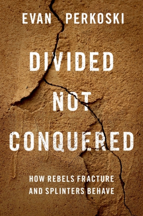Cover image for book Divided Not Conquered