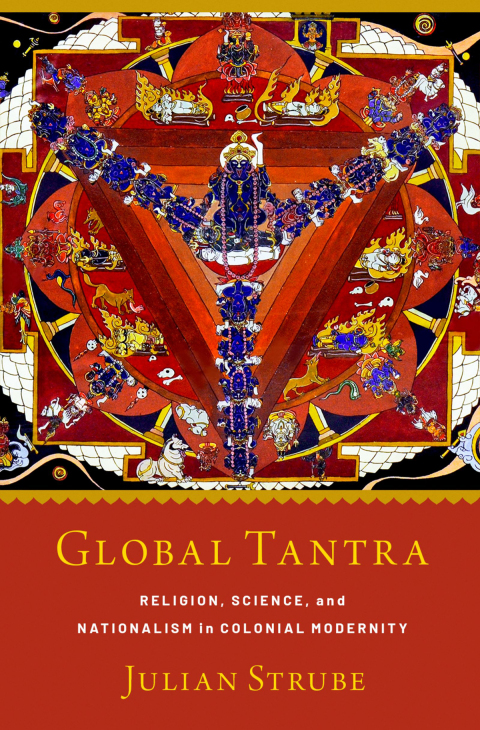 Cover image for book Global Tantra