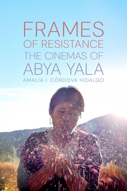 Cover image for book Frames of Resistance