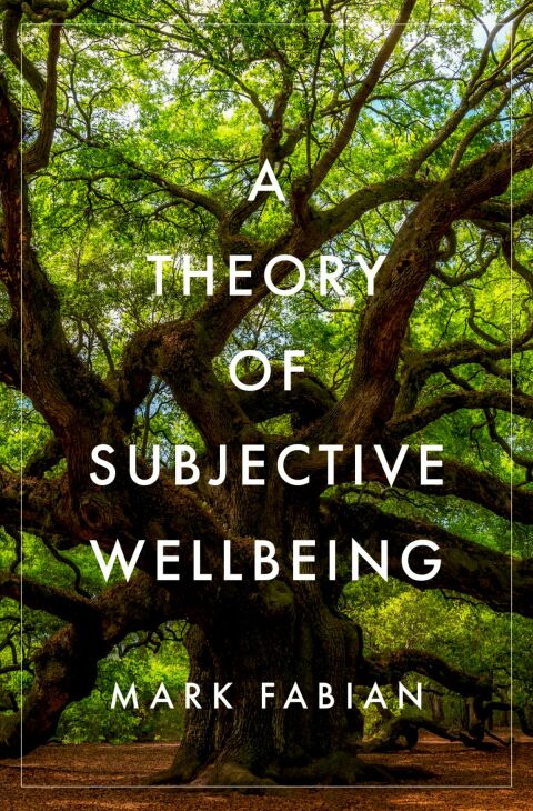 Cover image for book A Theory of Subjective Wellbeing