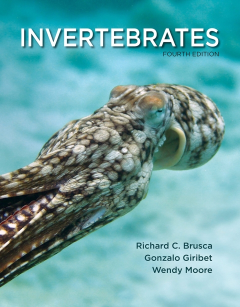 Reflowable Invertebrates; $87.49