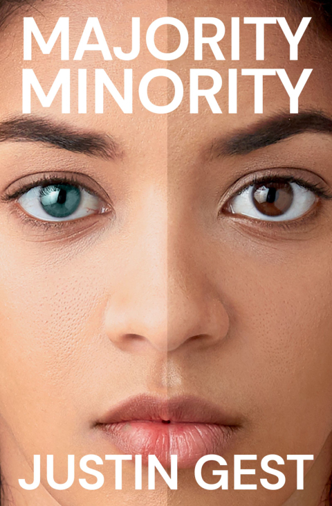 Cover image for book Majority Minority