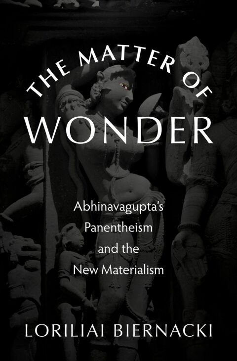 Cover image for book The Matter of Wonder