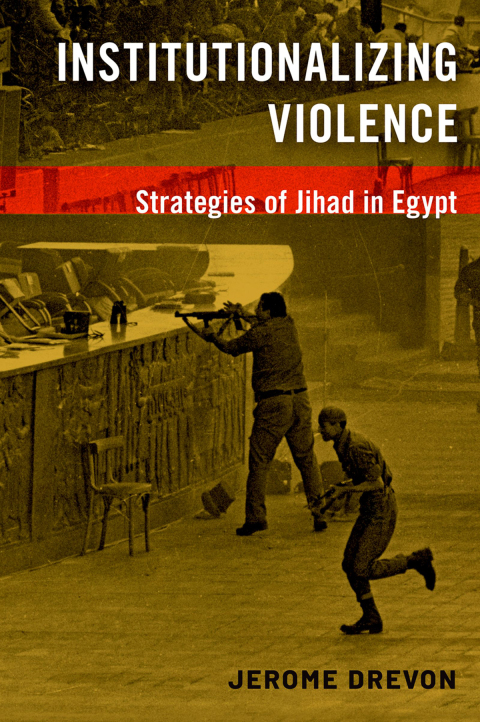 Cover image for book Institutionalizing Violence