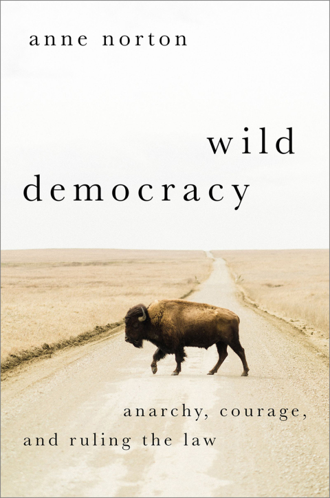 Cover image for book Wild Democracy