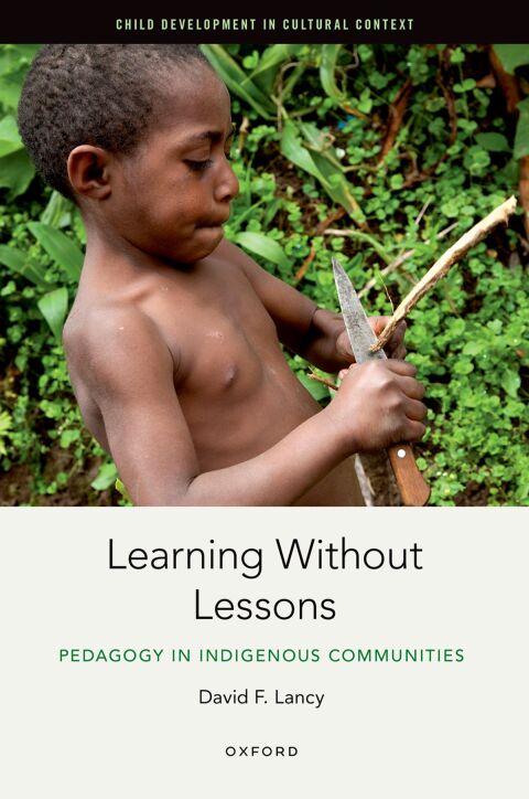 Cover image for book Learning Without Lessons