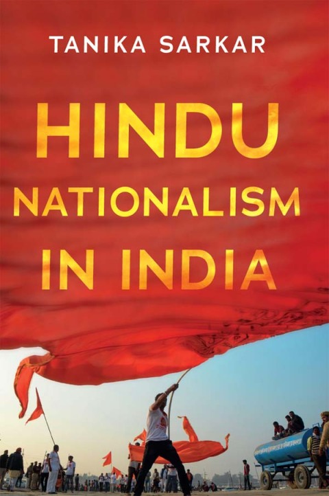 Cover image for book Hindu Nationalism in India