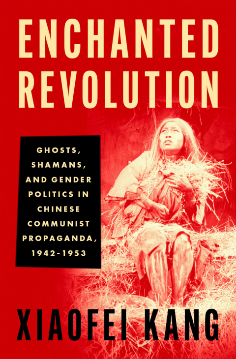 Cover image for book Enchanted Revolution