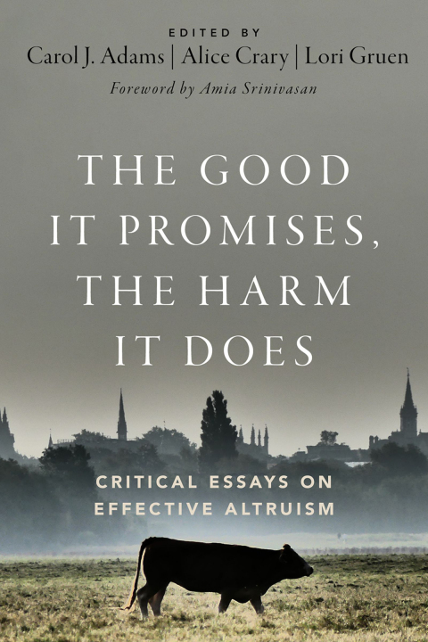 Cover image for book The Good It Promises, the Harm It Does
