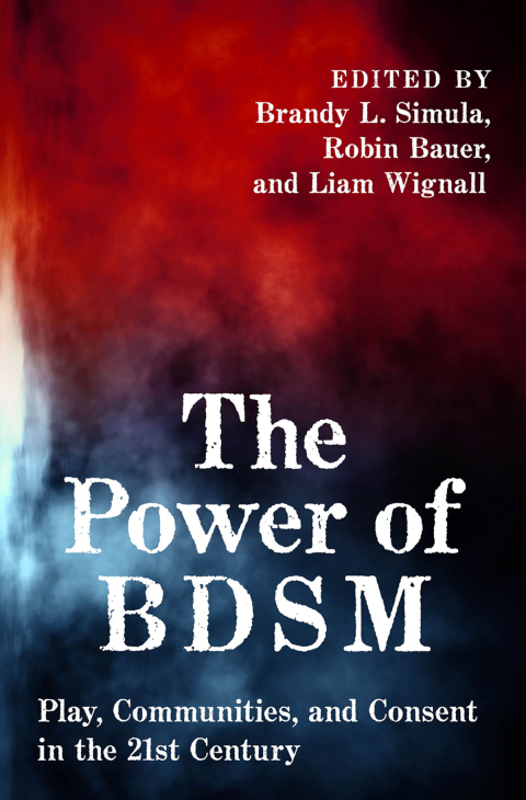 Cover image for book The Power of BDSM