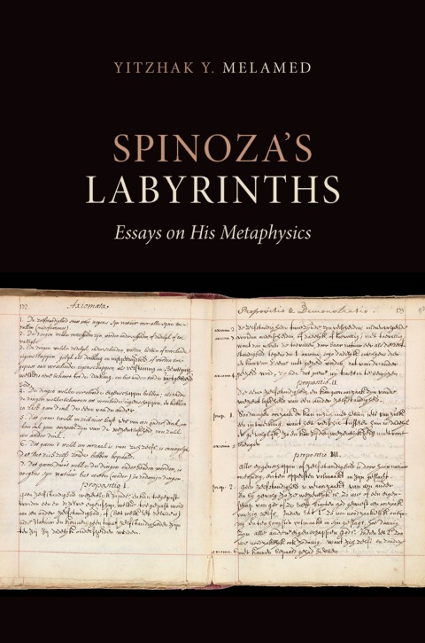 Cover image for book Spinoza's Labyrinths
