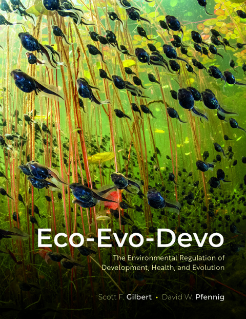 Cover image for book Eco-Evo-Devo