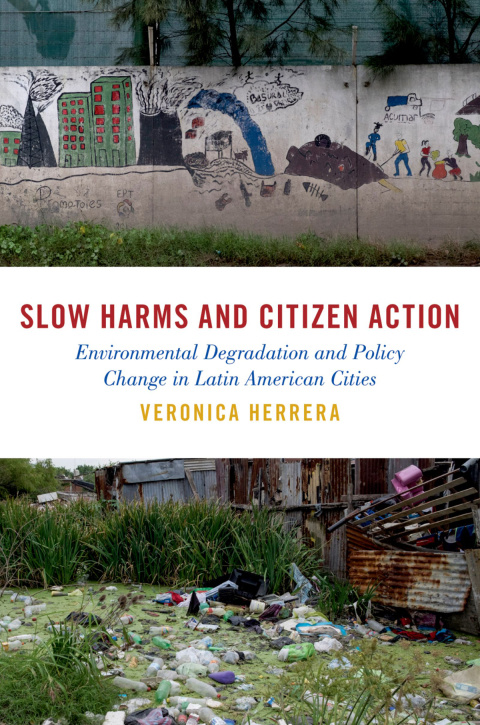 Cover image for book Slow Harms and Citizen Action