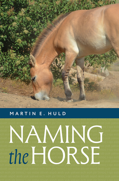 Cover image for book Naming the Horse