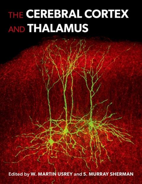 Cover image for book The Cerebral Cortex and Thalamus