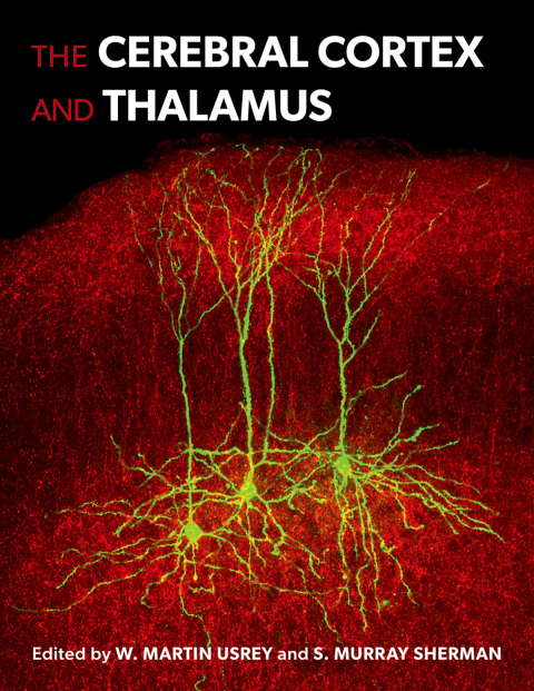 Cover image for book The Cerebral Cortex and Thalamus