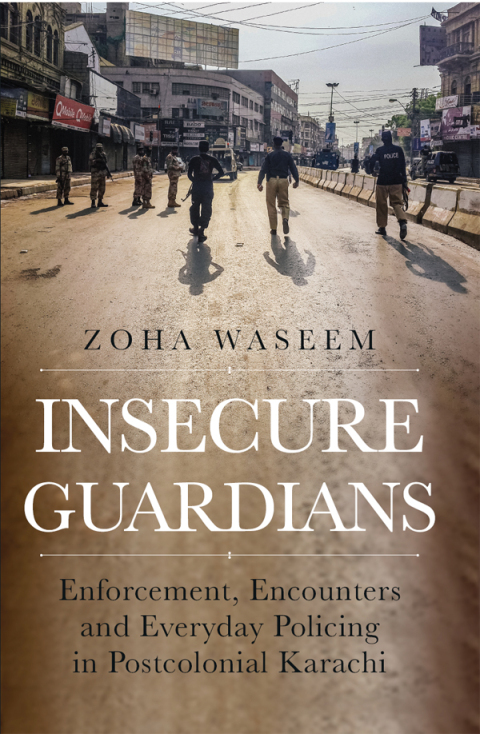 Cover image for book Insecure Guardians