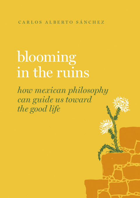 Cover image for book Blooming in the Ruins
