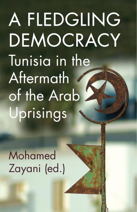 Cover image for book A Fledgling Democracy