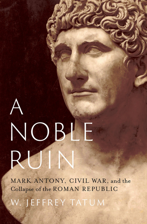 Cover image for book A Noble Ruin