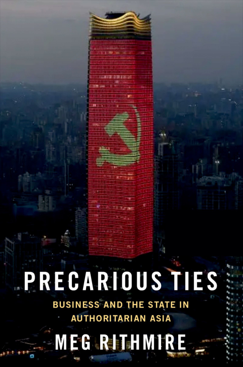 Cover image for book Precarious Ties