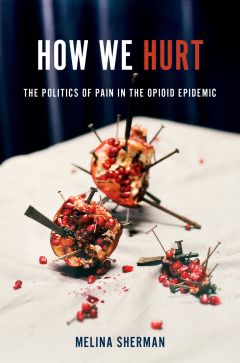 Cover image for book How We Hurt