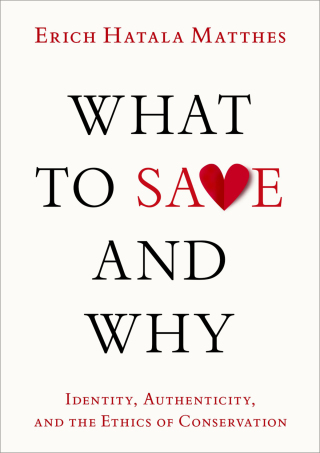 What to Save and Why
