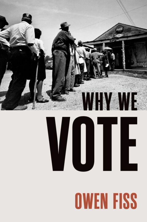 Cover image for book Why We Vote