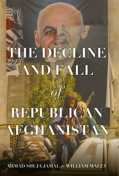 Cover image for book The Decline and Fall of Republican Afghanistan