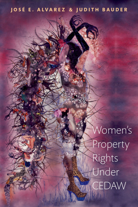 Cover image for book Women's Property Rights Under CEDAW