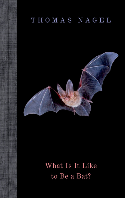 Cover image for book What Is It Like to Be a Bat?