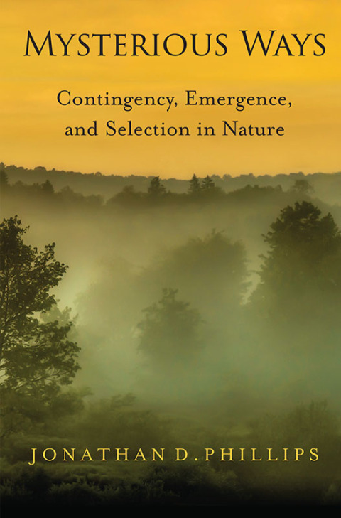 Cover image for book Mysterious Ways