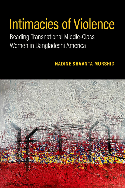 Cover image for book Intimacies of Violence