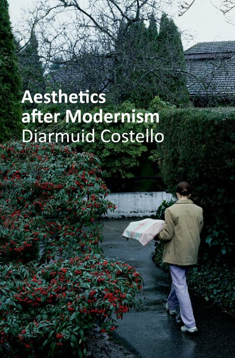Cover image for book Aesthetics After Modernism