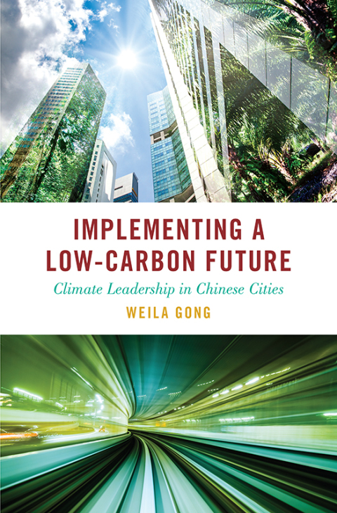 Cover image for book Implementing a Low-Carbon Future