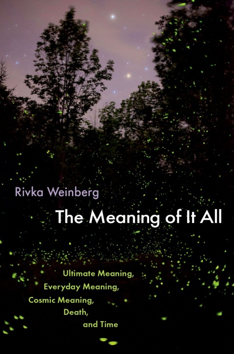Cover image for book The Meaning of It All