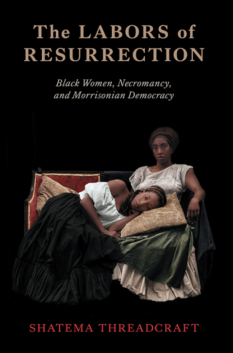 Cover image for book The Labors of Resurrection