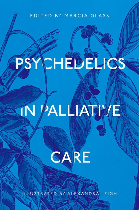 Cover image for book Psychedelics in Palliative Care