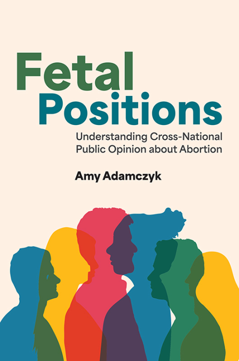 Cover image for book Fetal Positions
