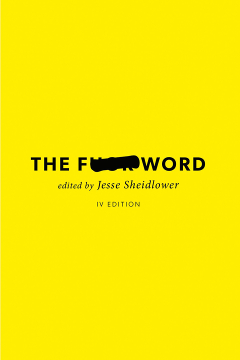 Cover image for book The F-Word